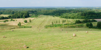 28.09.2019 – Maal elamise päev