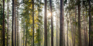 11 katusorganisatsiooni: Eestile võetud kliimaeesmärgid maksavad tuhandeid töökohti, kus on riigi plaan?