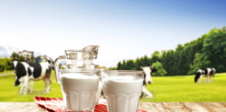 3.12.2019 – Loomakasvatusökonoomika ja finantsteadmised loomakasvatuses