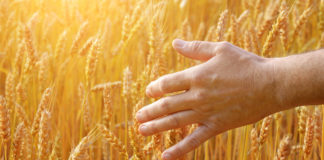 Hariduslikud videoklipid tutvustavad vastutustundliku taimekaitse tähtsust