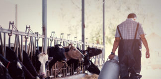 03.10.2019 – Piimafoorum 2019