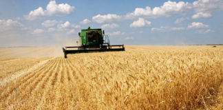 Koristushooaeg on alanud – palume liikluses tähelepanelikkust