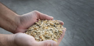 16.10.2019 – Sööda keemiline ja bioloogiline ohutus ja kvaliteet – jääb ära