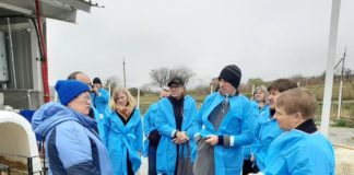 Gruusiast on kujunemas arvestatav eksporditurg Eesti tõuveistele