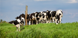 Ukrainast saabuvatele töötajatele tehakse Tallinna lennujaamas koroonaviiruse test