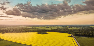 Maa maksustamisel tuleb silmas pidada põllumajanduse konkurentsivõimet ja metsanduse kestlikkust