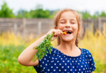Tasakaalus taimekaitse tagab ohutu toidu meie toidulaual