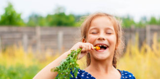 Tasakaalus taimekaitse tagab ohutu toidu meie toidulaual