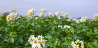 Siseministeeriumi infohommikul räägiti töörändega seotud väljakutsetest