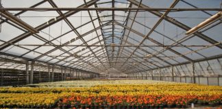 Liidud paluvad kevadhooajale viidates aianduskeskuste avamist