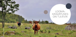 Noored loomaarstid pälvisid tunnustuse