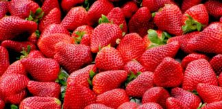 Põllumehed: Maaeluminister Arvo Aller, tulge kohe tagasi!