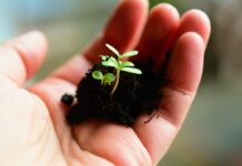 03.12.2021 – EPKK infopäev„Aiandustootmise sertifitseerimine“