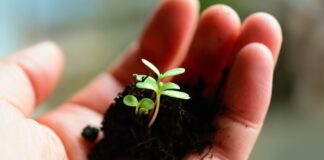 Toiteelementide bilanss tasub välja arvutada