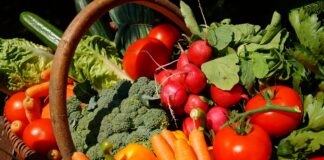 Põllumajandus- ja Toiduamet valmistub avalike ürituste kontrollideks