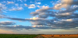 Põllumajanduse keskkonnahoid vajab tõhusamat toetust