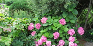 Küsitlus: 78% Eesti elanikest soovib aianduspoodide kiiret taasavamist