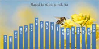 Rapsi- ja rüpsi kasvupind oluliselt suurenes