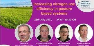 Iiri teadlased jagavad head nõu