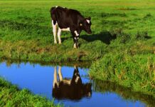 29.11.2021 ja 21.12.2021 – EPKK infopäevad “Veekaitse kohustused ja vajadused”