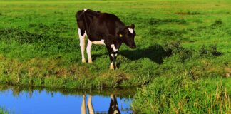 Eesti Põllumajandus-Kaubanduskoda korraldas veekaitse infopäeva