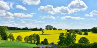 Viimastel kümnenditel on põllumajanduses palju muutusi