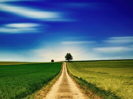 ÜPP strateegiakavas vajavad lahendamist mitmed suured probleemid