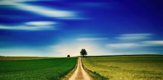 ÜPP strateegiakavas vajavad lahendamist mitmed suured probleemid