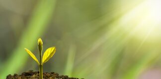 Valitsuse kliimaseisukohad vajavad Riigikogus tõsist arutelu