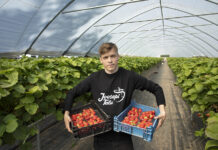 Rahvapõllumees Ranet Roositalu: Joosepi talu pakub põnevaid maasikasorte