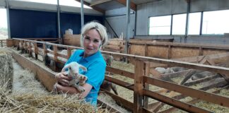 Aasta Põllumehe konverentsil vaetakse, kuidas saavutada Eesti põllumajanduse suured eesmärgid