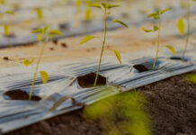 16.04.2026 EPKK infopäev: KSM tingimused aianduses