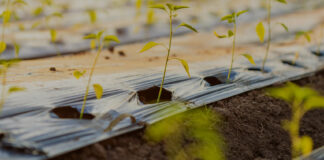 16.04.2026 EPKK infopäev: KSM tingimused aianduses