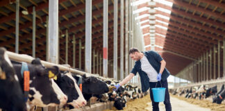 Liitude ühispöördumine: ootame välismaalaste seaduse kiiret vastuvõtmist