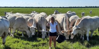 Raamatupidaja Mariliis Vaharist sai parim veisekasvataja