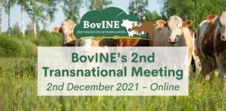 Euroopa lihaveisesektor koguneb jätkusuutliku arengu parandamiseks