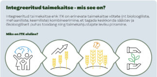 Integreeritud taimekaitse abil puhtam toit ja suurem sääst