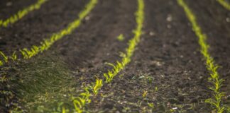 Rohestamise nõuete erisused 2022. aastal