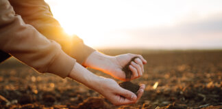 Kruuse tõstis Euroopa Komisjoni volinikuga kohtumisel esile mullatervise olulisust ja Eesti oludega arvestamist