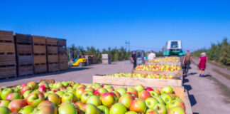 Marko Gorban: kodumaine tootmine ja isevarustusvõime on oluline