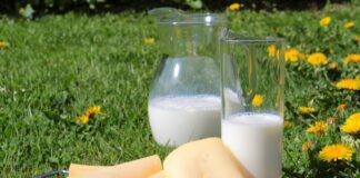 Kas piimatoodete kättesaadavus poodides jätkub ka edaspidi?