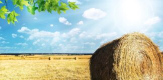 Mahetootmisega alustajad saavad hakata esitama tunnustamise taotlusi