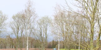 Haritava maaga kaubeldi mullu aktiivselt