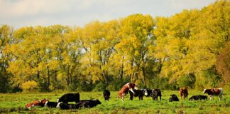 13.04.2023 EPKK Aretuskonverents 2023