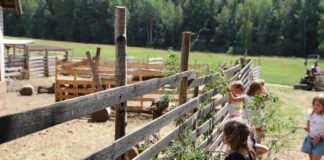 Avatud talude päeval osaleb tänavu ligi 280 talu