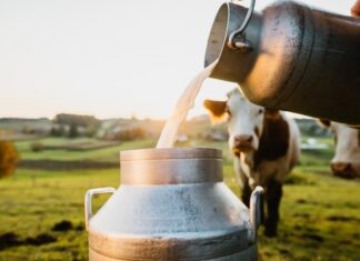 Maailma piimaturu suured muutused jõuavad Pärnusse – Piimafoorum 2026 toob kokku rahvusvahelised tippeksperdid
