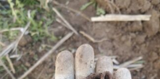 Ühel hektaril elab pea Eesti elanike arv vihmausse