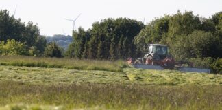 Roheülemineku ja biomajanduse arendamiseks saab taotleda investeeringutoetust