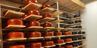 Teadlane: Keskkonna eest seisjad süüdistavad asjatult põllumehi, elu on palju keerulisem