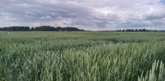 Sõrmus: Euroopa põllumajandus on muutusteks valmis